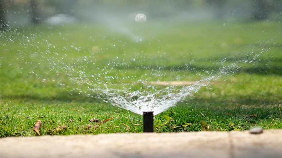 Irrigation sprinkler system installed in a Lubbock, TX yard
