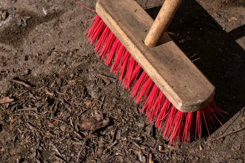 Seasonal yard cleanup with leaf removal in Lubbock, TX